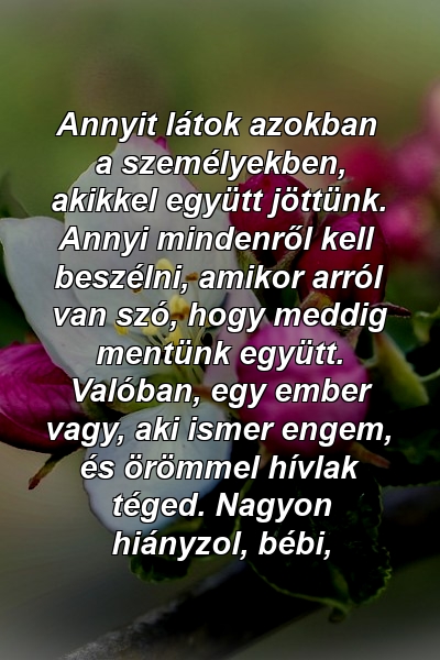 Annyit látok azokban a személyekben, akikkel együtt jöttünk. Annyi mindenről kell beszélni, amikor arról van szó, hogy meddig mentünk együtt. Valóban, egy ember vagy, aki ismer engem, és örömmel hívlak téged. Nagyon hiányzol, bébi,