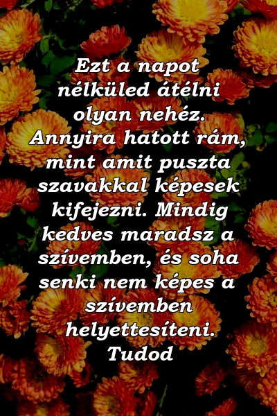 Ezt a napot nélküled átélni olyan nehéz. Annyira hatott rám, mint amit puszta szavakkal képesek kifejezni. Mindig kedves maradsz a szívemben, és soha senki nem képes a szívemben helyettesíteni. Tudod