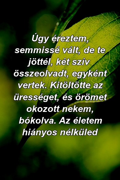 Úgy éreztem, semmissé vált, de te jöttél, két szív összeolvadt, egyként vertek. Kitöltötte az ürességet, és örömet okozott nekem, bókolva. Az életem hiányos nélküled