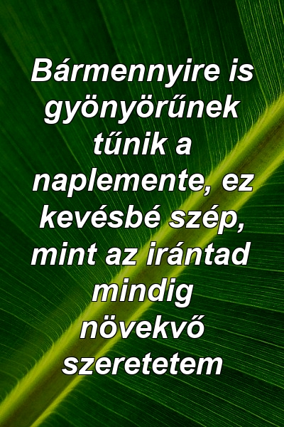 Bármennyire is gyönyörűnek tűnik a naplemente, ez kevésbé szép, mint az irántad mindig növekvő szeretetem