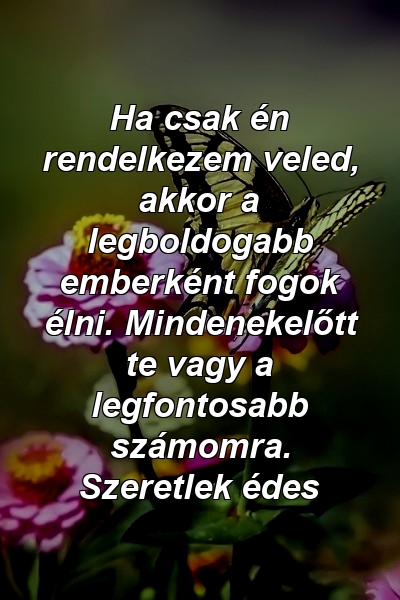 Ha csak én rendelkezem veled, akkor a legboldogabb emberként fogok élni. Mindenekelőtt te vagy a legfontosabb számomra. Szeretlek édes