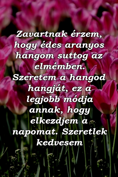 Zavartnak érzem, hogy édes aranyos hangom suttog az elmémben. Szeretem a hangod hangját, ez a legjobb módja annak, hogy elkezdjem a napomat. Szeretlek kedvesem