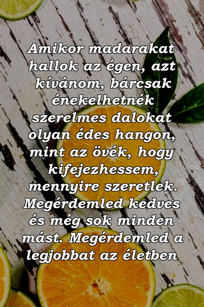 Amikor madarakat hallok az égen, azt kívánom, bárcsak énekelhetnék szerelmes dalokat olyan édes hangon, mint az övék, hogy kifejezhessem, mennyire szeretlek. Megérdemled kedves és még sok minden mást. Megérdemled a legjobbat az életben