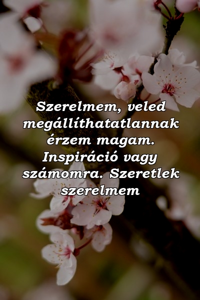 Szerelmem, veled megállíthatatlannak érzem magam. Inspiráció vagy számomra. Szeretlek szerelmem