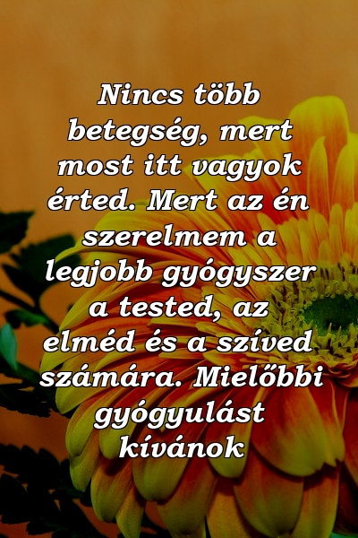 Nincs több betegség, mert most itt vagyok érted. Mert az én szerelmem a legjobb gyógyszer a tested, az elméd és a szíved számára. Mielőbbi gyógyulást kívánok