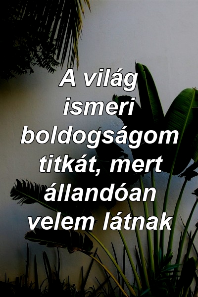 A világ ismeri boldogságom titkát, mert állandóan velem látnak