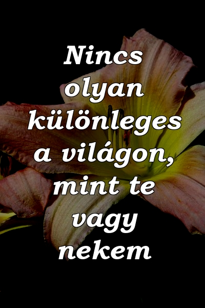 Nincs olyan különleges a világon, mint te vagy nekem