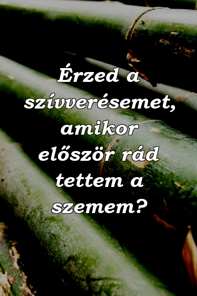 Érzed a szívverésemet, amikor először rád tettem a szemem?