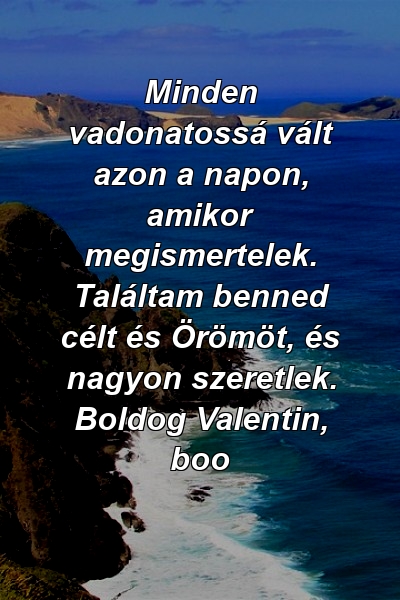 Minden vadonatossá vált azon a napon, amikor megismertelek. Találtam benned célt és Örömöt, és nagyon szeretlek. Boldog Valentin, boo