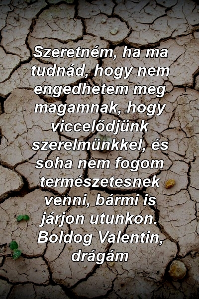 Szeretném, ha ma tudnád, hogy nem engedhetem meg magamnak, hogy viccelődjünk szerelmünkkel, és soha nem fogom természetesnek venni, bármi is járjon utunkon. Boldog Valentin, drágám