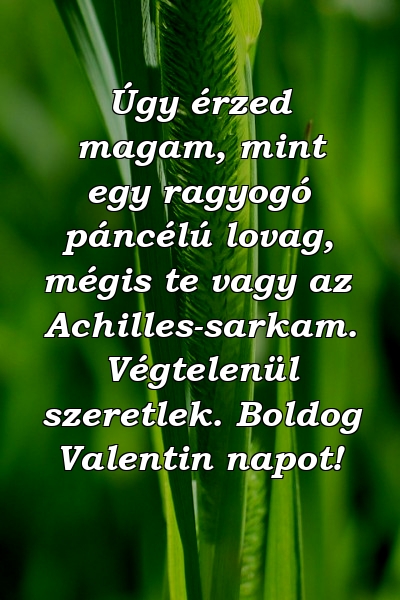 Úgy érzed magam, mint egy ragyogó páncélú lovag, mégis te vagy az Achilles-sarkam. Végtelenül szeretlek. Boldog Valentin napot!