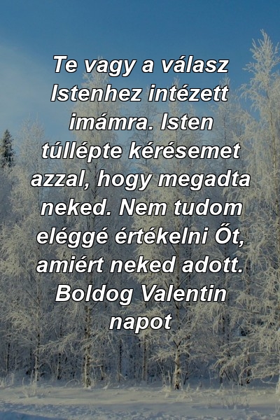 Te vagy a válasz Istenhez intézett imámra. Isten túllépte kérésemet azzal, hogy megadta neked. Nem tudom eléggé értékelni Őt, amiért neked adott. Boldog Valentin napot