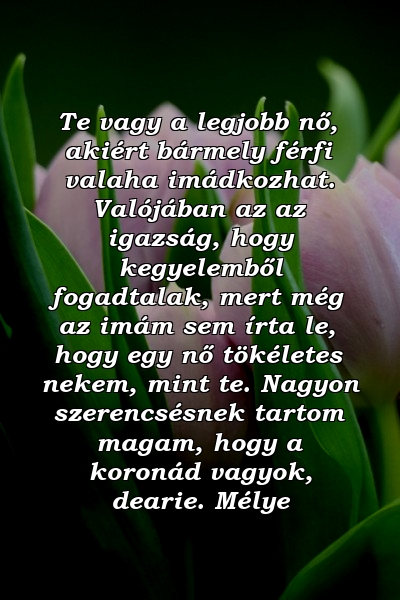 Te vagy a legjobb nő, akiért bármely férfi valaha imádkozhat. Valójában az az igazság, hogy kegyelemből fogadtalak, mert még az imám sem írta le, hogy egy nő tökéletes nekem, mint te. Nagyon szerencsésnek tartom magam, hogy a koronád vagyok, dearie. Mélye