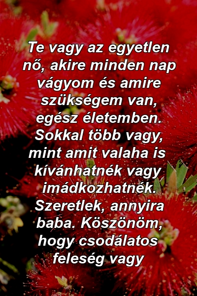 Te vagy az egyetlen nő, akire minden nap vágyom és amire szükségem van, egész életemben. Sokkal több vagy, mint amit valaha is kívánhatnék vagy imádkozhatnék. Szeretlek, annyira baba. Köszönöm, hogy csodálatos feleség vagy