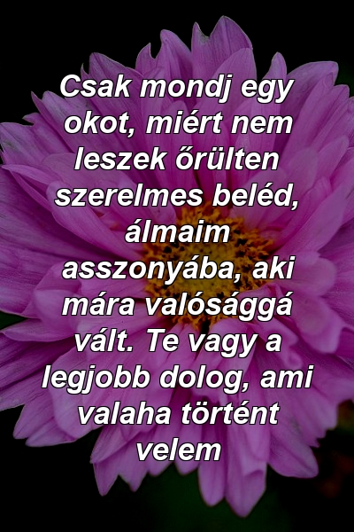 Csak mondj egy okot, miért nem leszek őrülten szerelmes beléd, álmaim asszonyába, aki mára valósággá vált. Te vagy a legjobb dolog, ami valaha történt velem