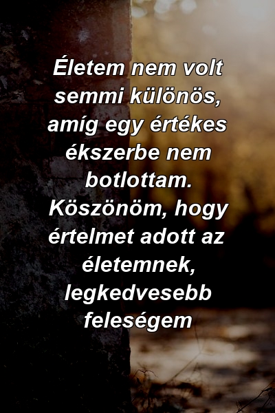 Életem nem volt semmi különös, amíg egy értékes ékszerbe nem botlottam. Köszönöm, hogy értelmet adott az életemnek, legkedvesebb feleségem