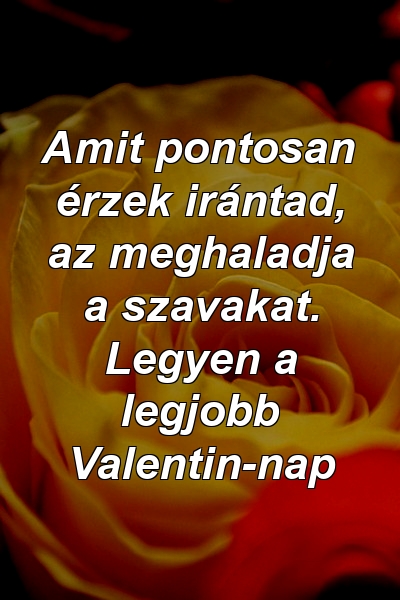 Amit pontosan érzek irántad, az meghaladja a szavakat. Legyen a legjobb Valentin-nap