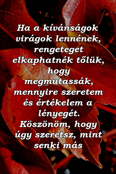 Ha a kívánságok virágok lennének, rengeteget elkaphatnék tőlük, hogy megmutassák, mennyire szeretem és értékelem a lényegét. Köszönöm, hogy úgy szeretsz, mint senki más