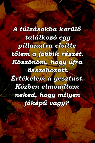 A túlzásokba kerülő találkozó egy pillanatra elvitte tőlem a jobbik részét. Köszönöm, hogy újra összehozott. Értékelem a gesztust. Közben elmondtam neked, hogy milyen jóképű vagy?