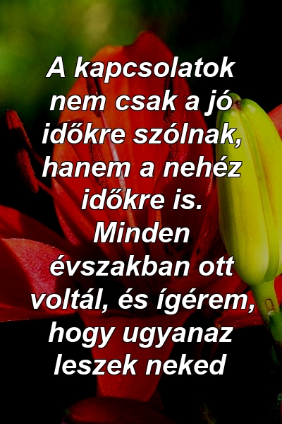 A kapcsolatok nem csak a jó időkre szólnak, hanem a nehéz időkre is. Minden évszakban ott voltál, és ígérem, hogy ugyanaz leszek neked