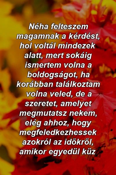 Néha felteszem magamnak a kérdést, hol voltál mindezek alatt, mert sokáig ismertem volna a boldogságot, ha korábban találkoztam volna veled, de a szeretet, amelyet megmutatsz nekem, elég ahhoz, hogy megfeledkezhessek azokról az időkről, amikor egyedül küz