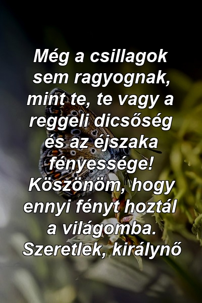 Még a csillagok sem ragyognak, mint te, te vagy a reggeli dicsőség és az éjszaka fényessége! Köszönöm, hogy ennyi fényt hoztál a világomba. Szeretlek, királynő