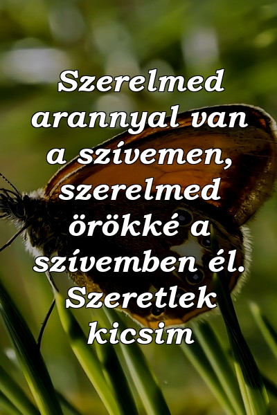 Szerelmed arannyal van a szívemen, szerelmed örökké a szívemben él. Szeretlek kicsim