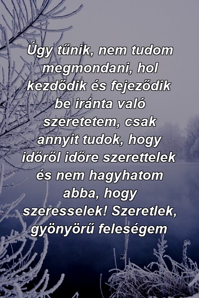 Úgy tűnik, nem tudom megmondani, hol kezdődik és fejeződik be iránta való szeretetem, csak annyit tudok, hogy időről időre szerettelek és nem hagyhatom abba, hogy szeresselek! Szeretlek, gyönyörű feleségem