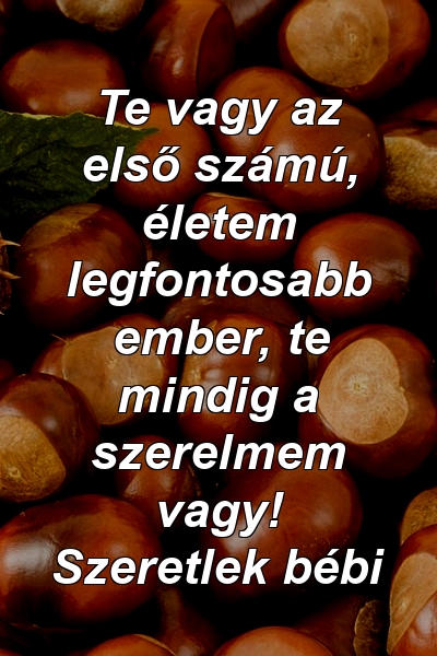 Te vagy az első számú, életem legfontosabb ember, te mindig a szerelmem vagy! Szeretlek bébi