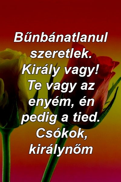 Bűnbánatlanul szeretlek. Király vagy! Te vagy az enyém, én pedig a tied. Csókok, királynőm