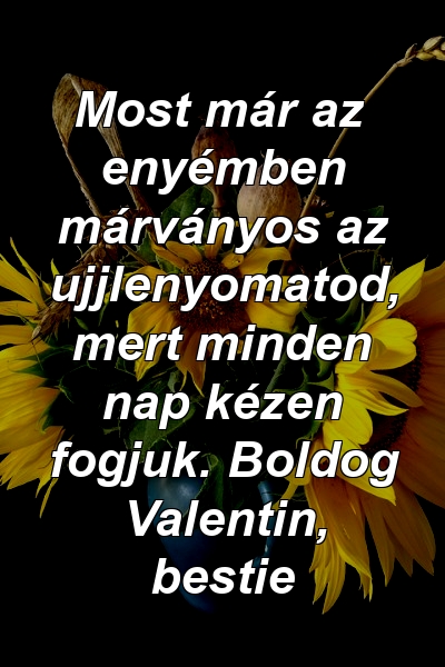 Most már az enyémben márványos az ujjlenyomatod, mert minden nap kézen fogjuk. Boldog Valentin, bestie