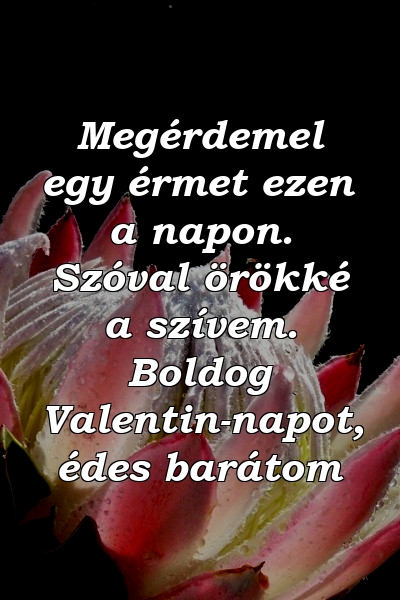 Megérdemel egy érmet ezen a napon. Szóval örökké a szívem. Boldog Valentin-napot, édes barátom