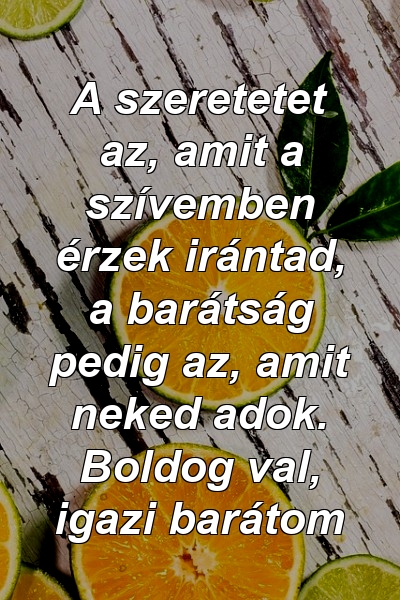 A szeretetet az, amit a szívemben érzek irántad, a barátság pedig az, amit neked adok. Boldog val, igazi barátom