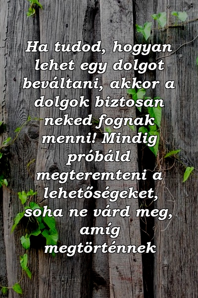 Ha tudod, hogyan lehet egy dolgot beváltani, akkor a dolgok biztosan neked fognak menni! Mindig próbáld megteremteni a lehetőségeket, soha ne várd meg, amíg megtörténnek