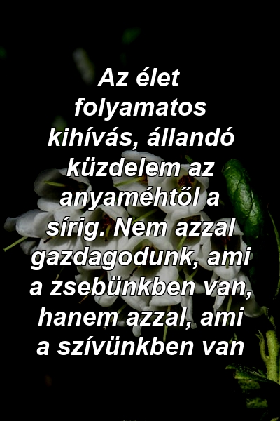 Az élet folyamatos kihívás, állandó küzdelem az anyaméhtől a sírig. Nem azzal gazdagodunk, ami a zsebünkben van, hanem azzal, ami a szívünkben van