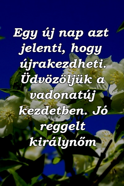 Egy új nap azt jelenti, hogy újrakezdheti. Üdvözöljük a vadonatúj kezdetben. Jó reggelt királynőm