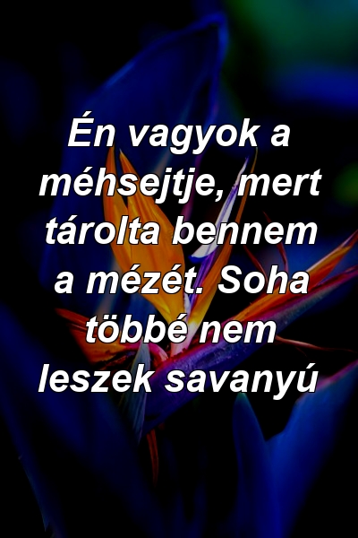 Én vagyok a méhsejtje, mert tárolta bennem a mézét. Soha többé nem leszek savanyú