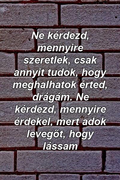 Ne kérdezd, mennyire szeretlek, csak annyit tudok, hogy meghalhatok érted, drágám. Ne kérdezd, mennyire érdekel, mert adok levegőt, hogy lássam