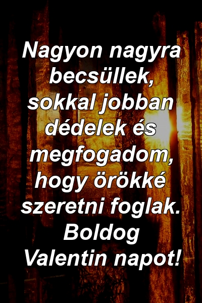 Nagyon nagyra becsüllek, sokkal jobban dédelek és megfogadom, hogy örökké szeretni foglak. Boldog Valentin napot!