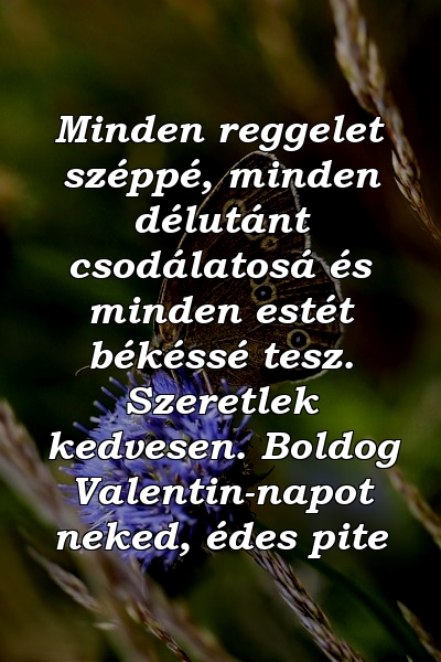 Minden reggelet széppé, minden délutánt csodálatosá és minden estét békéssé tesz. Szeretlek kedvesen. Boldog Valentin-napot neked, édes pite