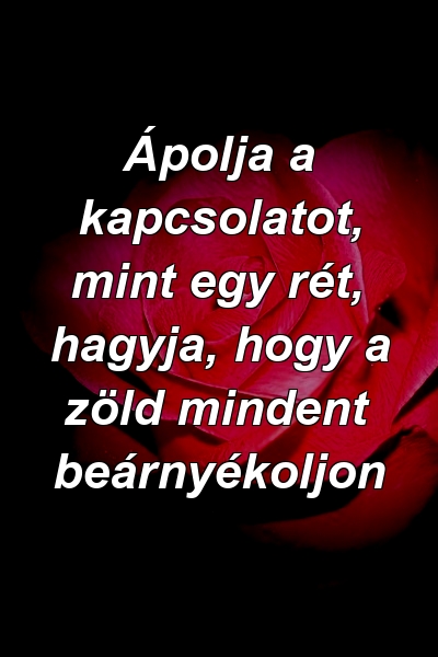 Ápolja a kapcsolatot, mint egy rét, hagyja, hogy a zöld mindent beárnyékoljon