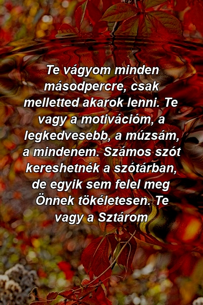 Te vágyom minden másodpercre, csak melletted akarok lenni. Te vagy a motivációm, a legkedvesebb, a múzsám, a mindenem. Számos szót kereshetnék a szótárban, de egyik sem felel meg Önnek tökéletesen. Te vagy a Sztárom