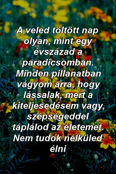 A veled töltött nap olyan, mint egy évszázad a paradicsomban. Minden pillanatban vágyom arra, hogy lássalak, mert a kiteljesedésem vagy, szépségeddel táplálod az életemet. Nem tudok nélküled élni