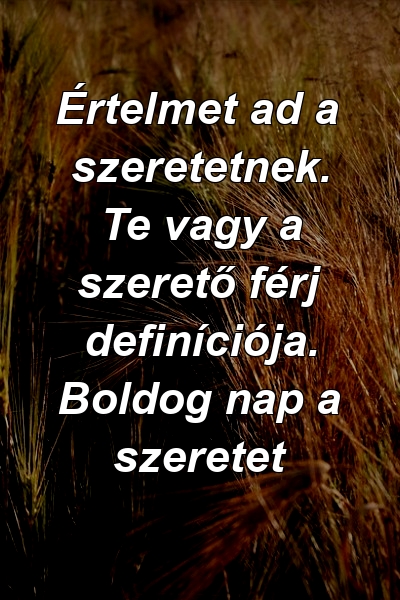 Értelmet ad a szeretetnek. Te vagy a szerető férj definíciója. Boldog nap a szeretet