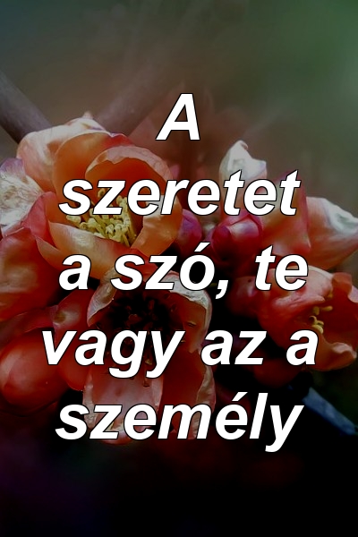 A szeretet a szó, te vagy az a személy