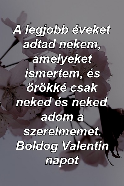 A legjobb éveket adtad nekem, amelyeket ismertem, és örökké csak neked és neked adom a szerelmemet. Boldog Valentin napot