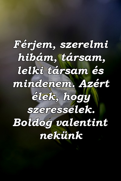 Férjem, szerelmi hibám, társam, lelki társam és mindenem. Azért élek, hogy szeresselek. Boldog valentint nekünk