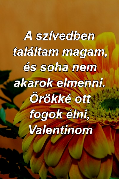 A szívedben találtam magam, és soha nem akarok elmenni. Örökké ott fogok élni, Valentinom