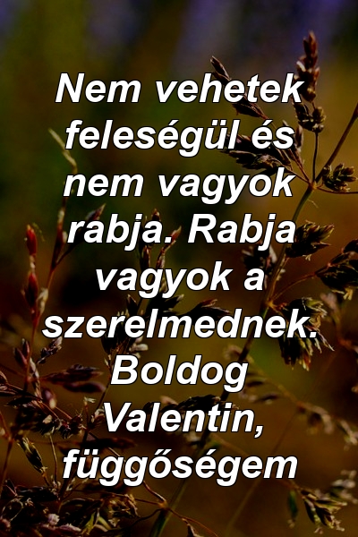 Nem vehetek feleségül és nem vagyok rabja. Rabja vagyok a szerelmednek. Boldog Valentin, függőségem