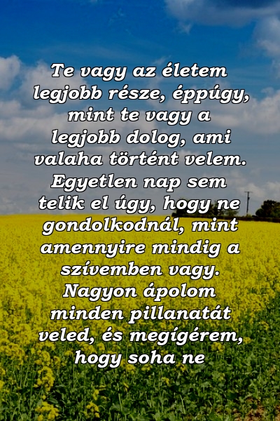 Te vagy az életem legjobb része, éppúgy, mint te vagy a legjobb dolog, ami valaha történt velem. Egyetlen nap sem telik el úgy, hogy ne gondolkodnál, mint amennyire mindig a szívemben vagy. Nagyon ápolom minden pillanatát veled, és megígérem, hogy soha ne